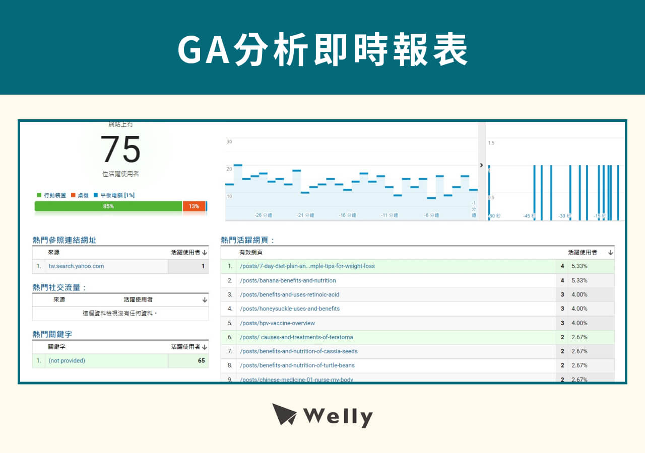 GA分析首頁與即時功能